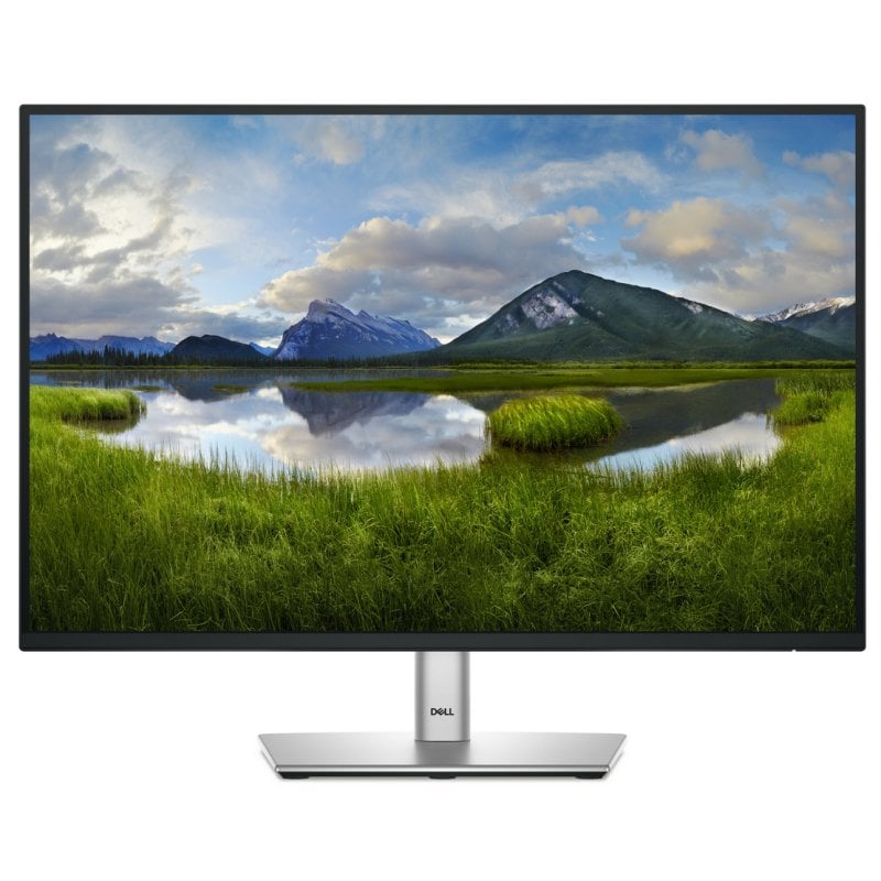 Dell P2425E 24.1" LED IPS FullHD 100Hz USB-C Reacondicionado