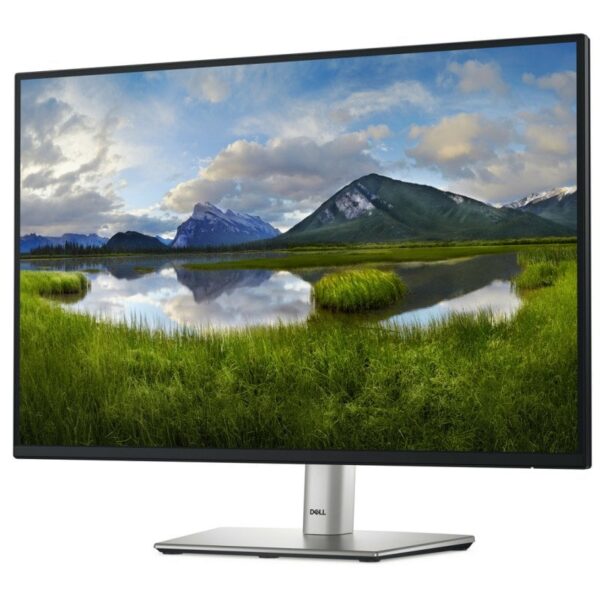 Dell P2425E 24.1" LED IPS FullHD 100Hz USB-C Reacondicionado