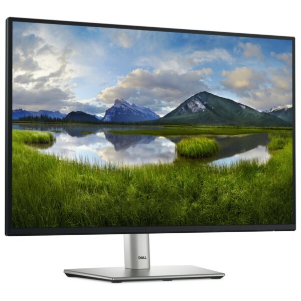 Dell P2425E 24.1" LED IPS FullHD 100Hz USB-C Reacondicionado