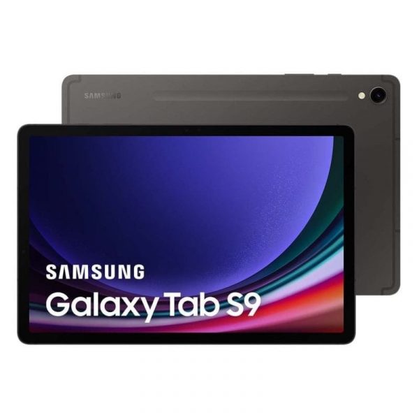 Samsung Galaxy Tab S9 WiFi 12/256GB Gris