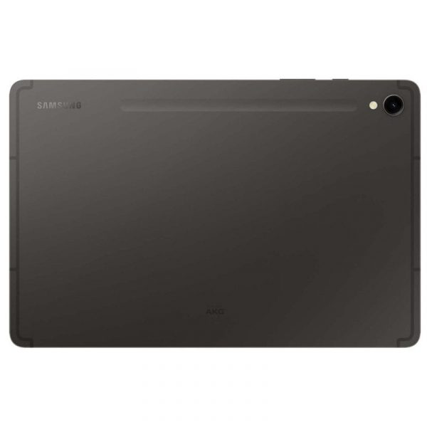 Samsung Galaxy Tab S9 WiFi 12/256GB Gris