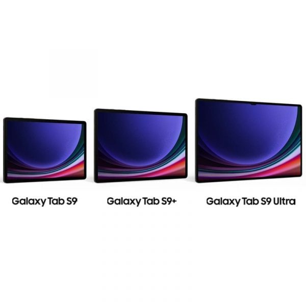 Samsung Galaxy Tab S9 WiFi 12/256GB Gris