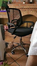 IMG_66624cf9169fd_20240606235745092667.