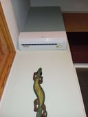 IMG_66ba6c0e3a6e0_20240812200950239326.