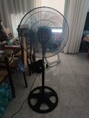 IMG_68aeeaf96c96a_20250827112441444776.jpeg