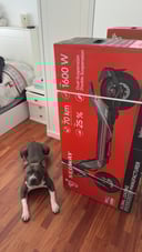 IMG_68df8d706cdf8_20251003084640445942.jpeg