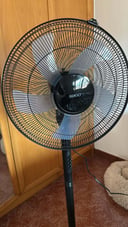 IMG_6a7cdda0813d0_20260812205456529358.jpeg