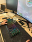 IMG_6558bb0e134db_20231118132430079066.jpeg